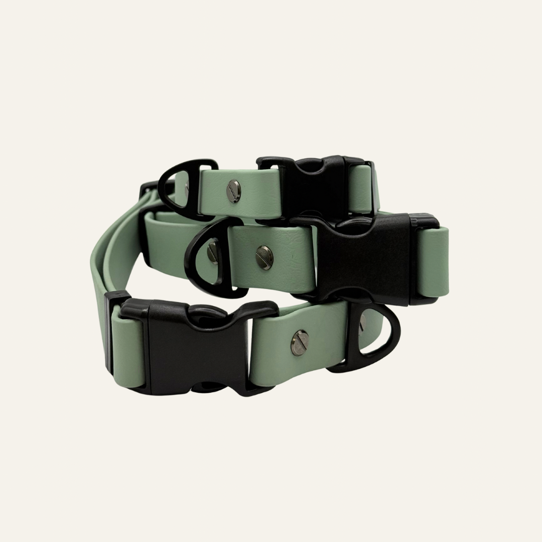 Biothane® Halsband Enea Sage