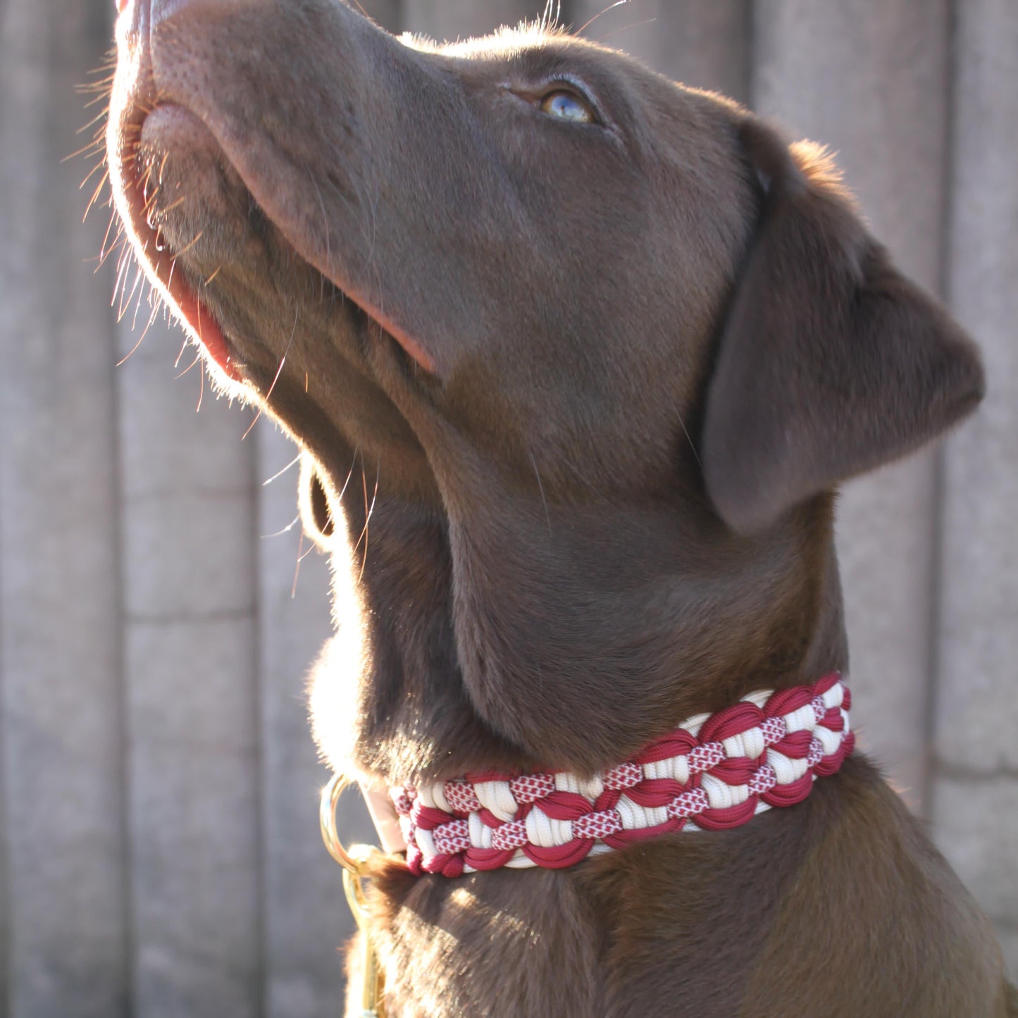 Santa‘s wish - Halsband