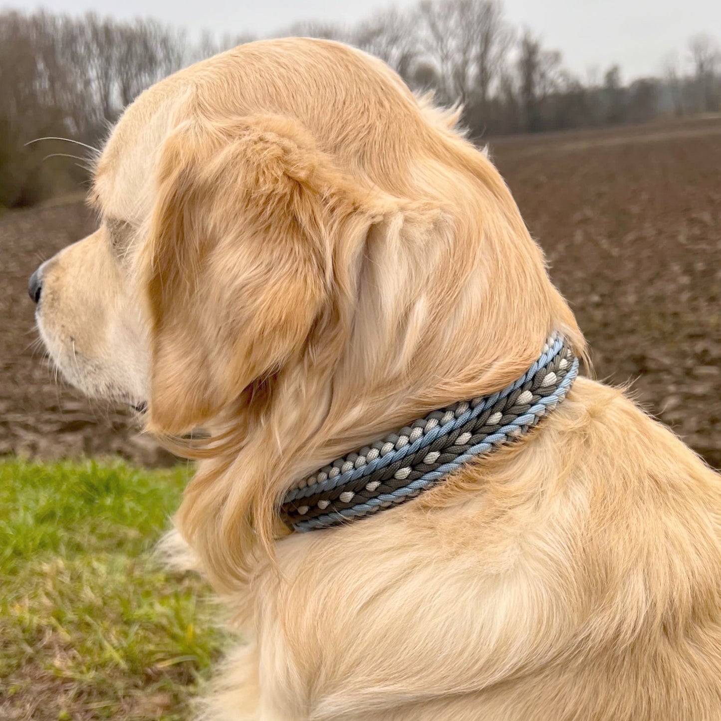 Ice Breeze - Halsband