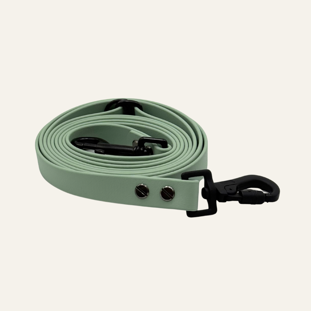 Biothane®  Leine Enea Sage