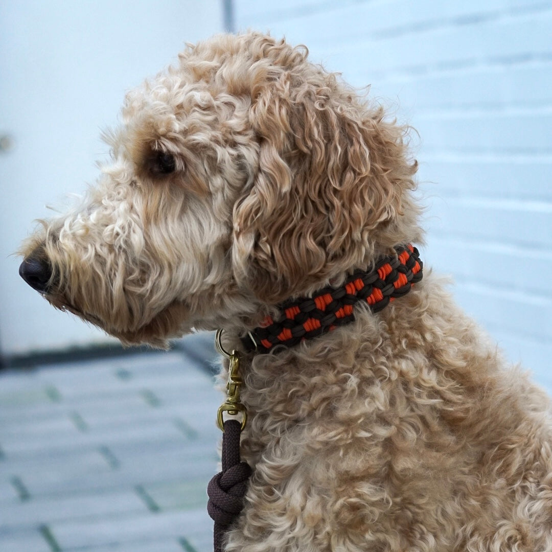 Paracord Halsband Aven Brown