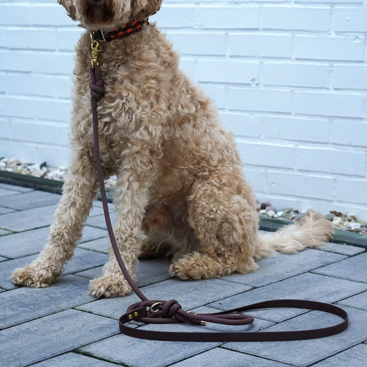 „HandsOff“ - Leine Aven Brown