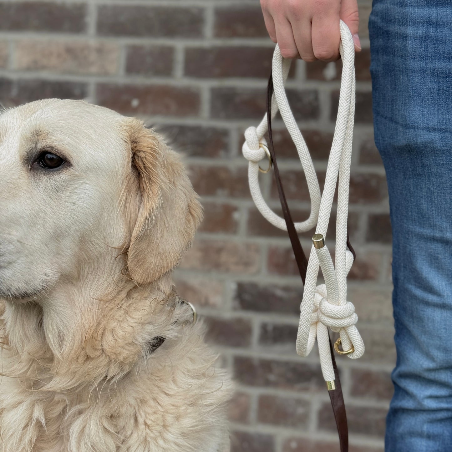 „HandsOff“ - Leine Mira Brown