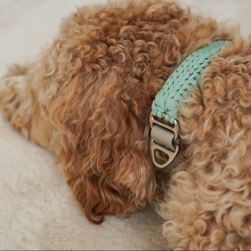 Paracord Halsband Luma Sage