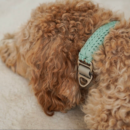 Paracord Halsband Luma Sage