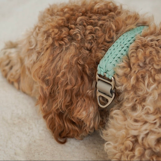 Paracord Halsband Luma Sage