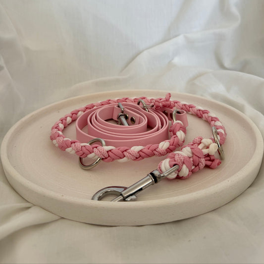 pink spring - Leine