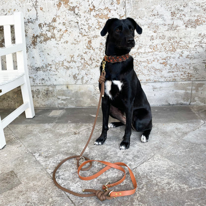 „HandsOff“ - Leine Noa Brown