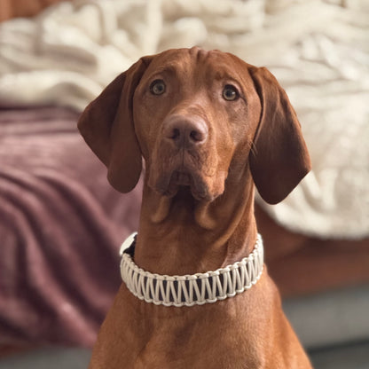 (create your own) cooper‘s DuoBraid